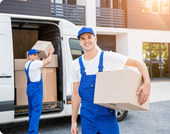 Elevate Your Deliveries with Anywhere Courier's Next Day Service